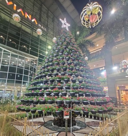 Malshej Ghat_Viviana_mall_2